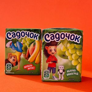 Сок "Садочок" 0.2