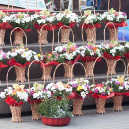 Квітковий ринок (2 школа)